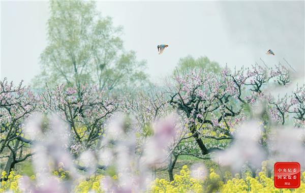 日丽清风的意思是什么意思是什么生肖