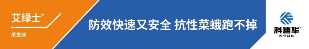 氰氟草酯、炔草酯、毒死蜱价格上调，46种原药供货紧张