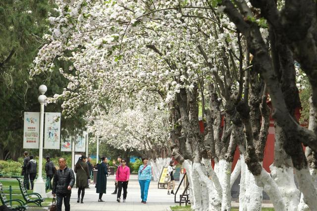 北京植物园