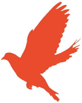 平原县开展“用好老年人才资源优势，积极助力社区治理”专题调研