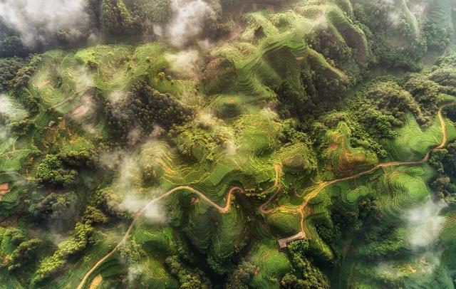 雅安景点