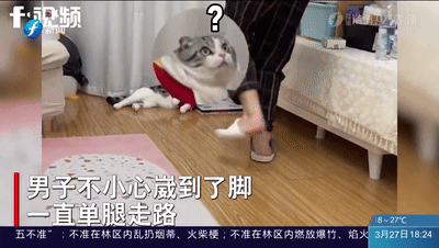 影片剧照