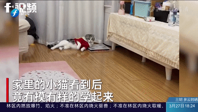 影片剧照