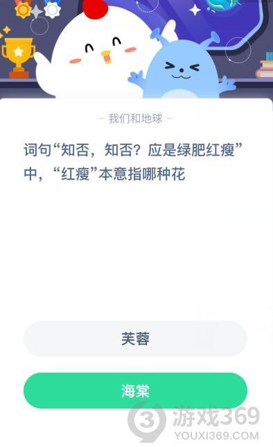 绿肥红瘦分别指什么花