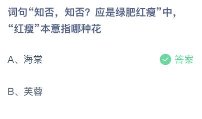 绿肥红瘦是什么花