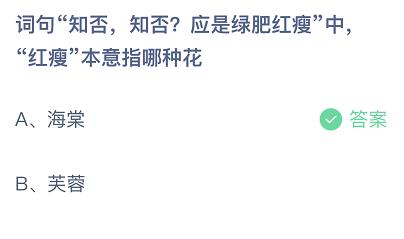 绿肥红瘦是什么花