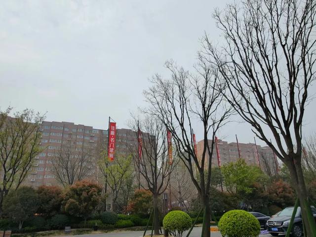 南阳印刷机械展报价