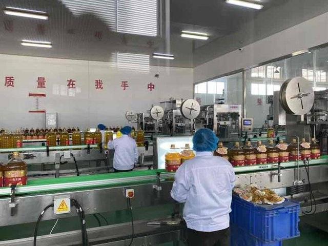 百叶式花生油过滤机