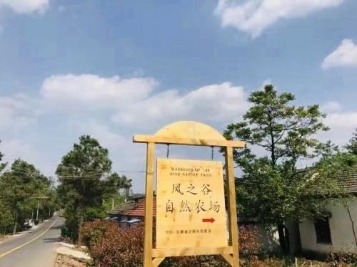 合肥细沙洗砂机批发