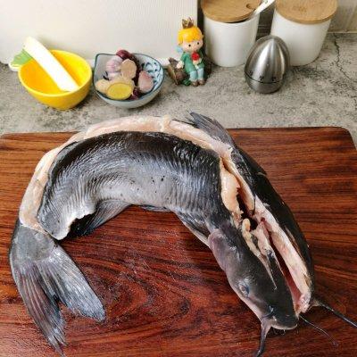 清江鱼无鱼鳞