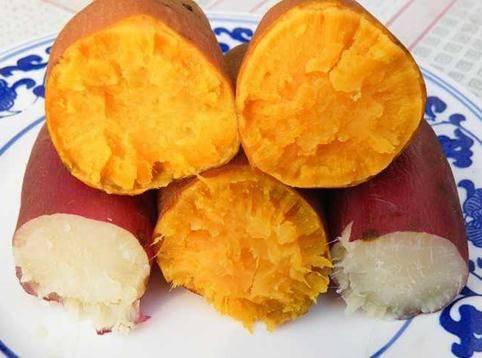 鸡西棉絮破碎机图片