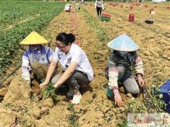 仙游印刷包装机械展多少钱