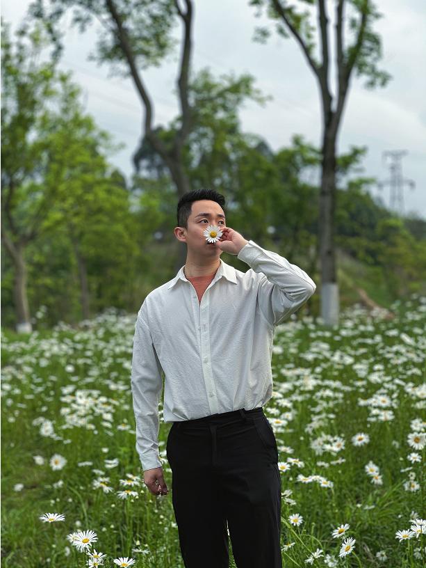 雏菊花海图片