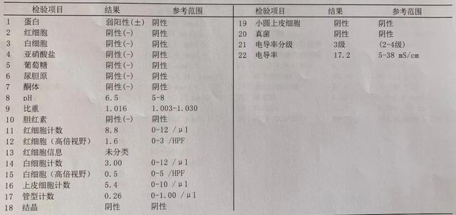 sle抗体检查什么意思