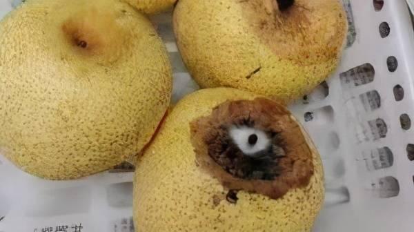 安徽宁国一幼儿园被指用发霉果蔬安徽宁国一幼儿园现问题食物:3月曾