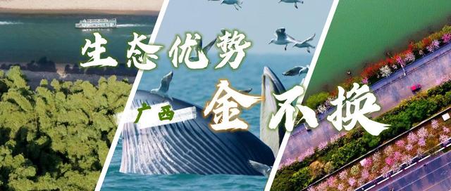 崇左圆轮洗砂机定制的简单介绍