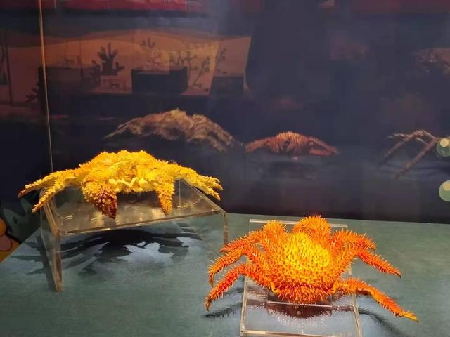 小型深圳机械展