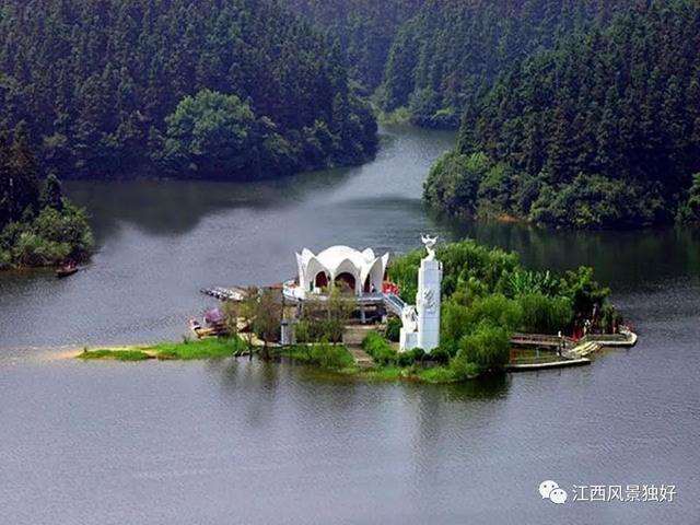 锦园花海风筝艺术活动开幕式 乐活慢跑 美食展 金鸡宴 乡村文艺汇演