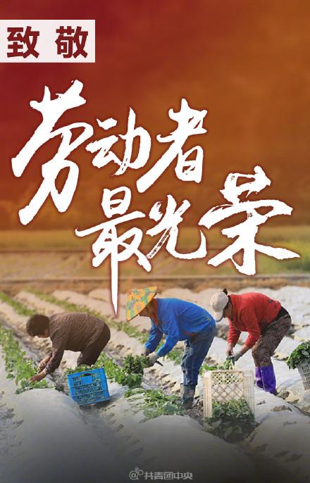 劳动最光荣手抄报内容劳动最光荣致敬所有劳动者