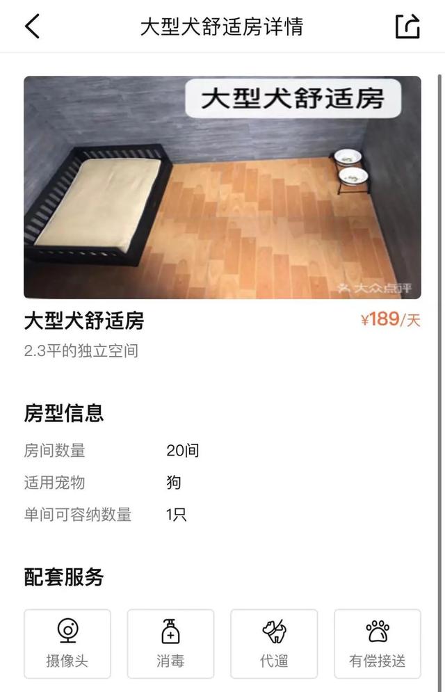 上海宠物用品