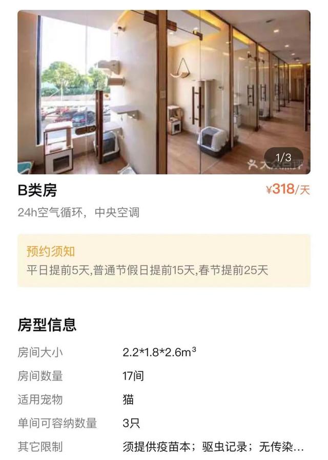 上海宠物用品