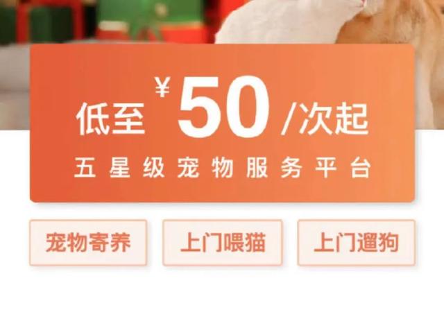 上海宠物用品