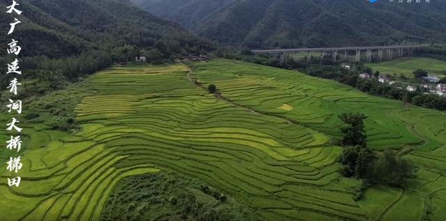 大广高速是哪里到哪里