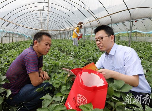 银行助农贷款「扶持农业无息贷款」