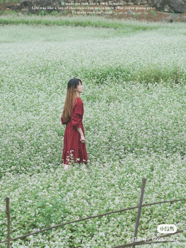 喀什四联洗砂机