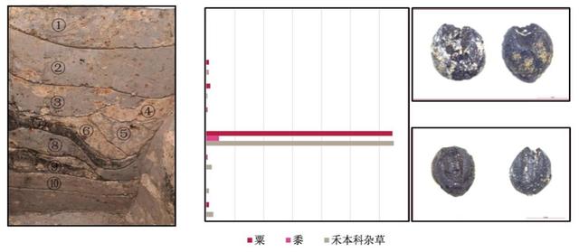 北大简介