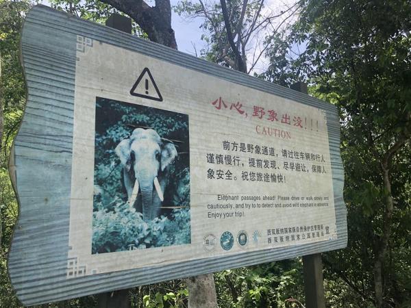 云南昆明挖斗洗砂机出租