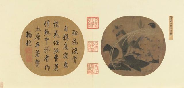 枇杷季节 枇杷季节