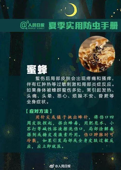 狗豆子