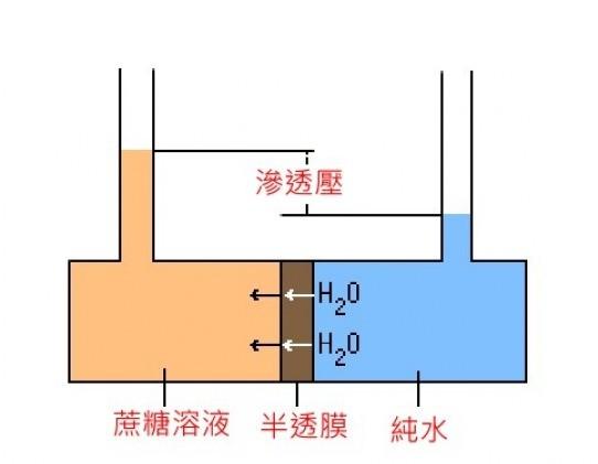 包含湖北核正过滤机机械有限公司的词条