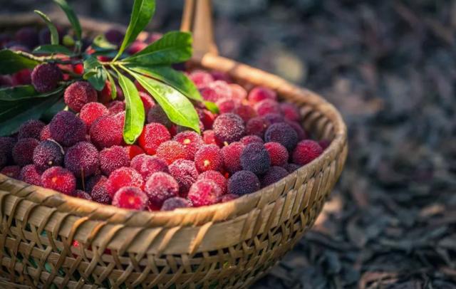 这种“果中玛瑙”生津止渴涩肠止泻，你吃对了吗？