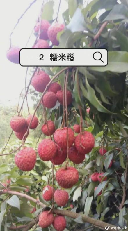 荔枝，一天吃10-17个就够了