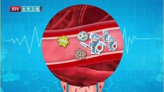 经常生病 VS 不生病，谁的免疫力更强？真相来了