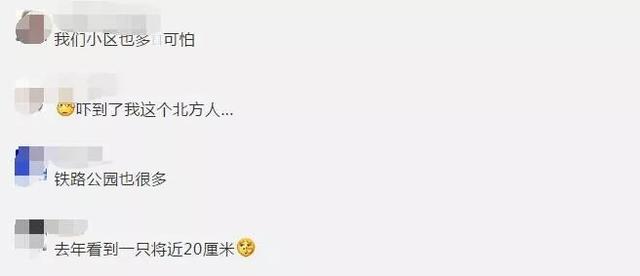 百度云鸡皮疙瘩