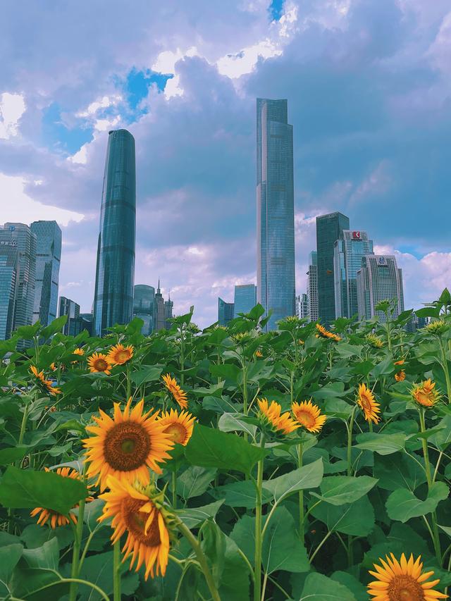 花城广场