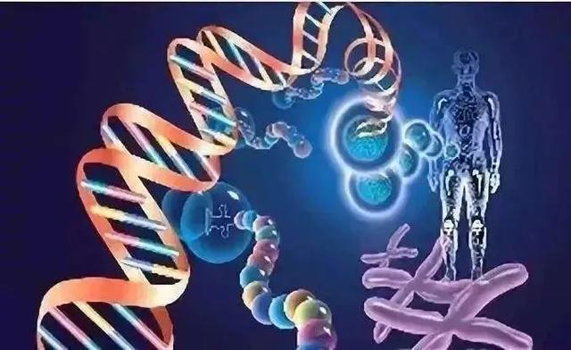 我家宝宝不长个怎么办？这几类检查了解一下