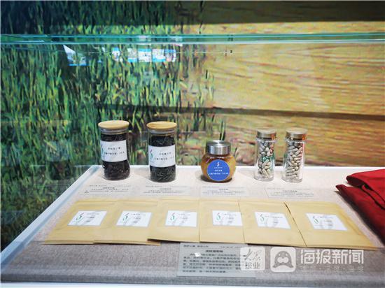 纪录小康工程山东主题展网上展馆