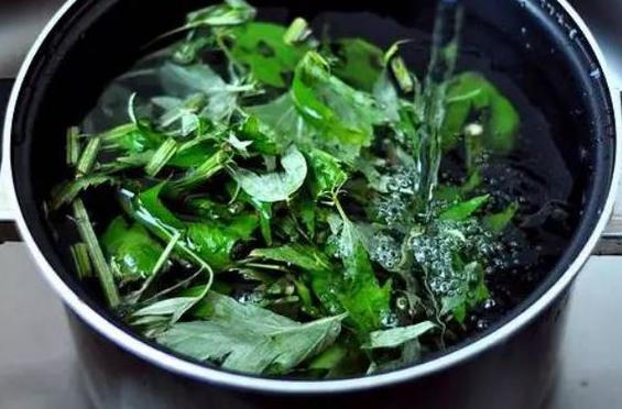 生活中如何保护好头皮预防头皮问题？最好这样做