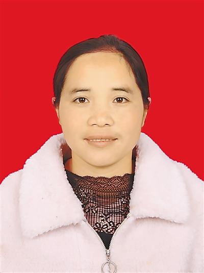 吕梁模板破碎机带钉