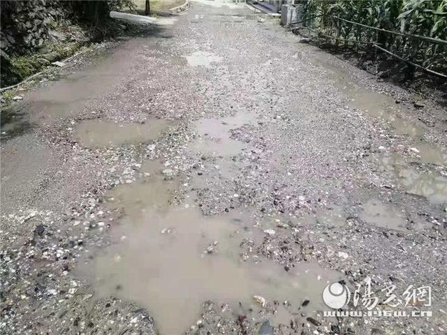 砂石检测报告单范本