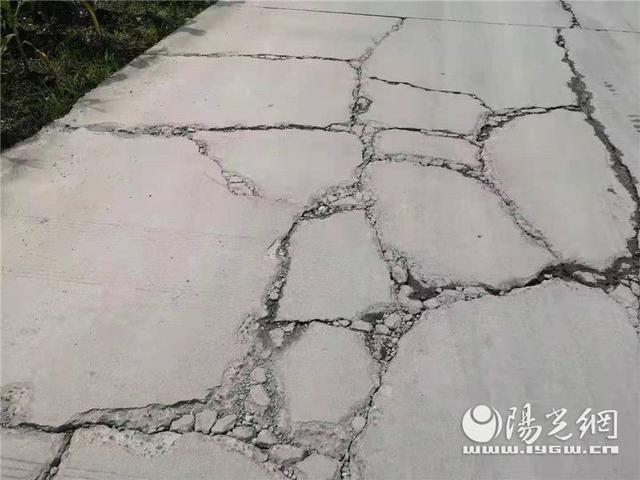 砂石检测报告单范本