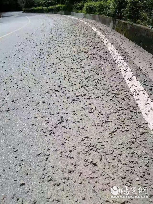砂石检测报告单范本