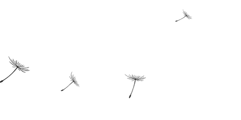 夜明珠小说