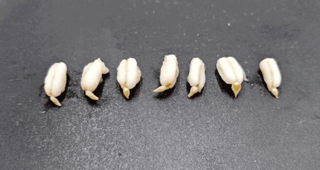 人人都要控血糖，怎么吃更好？