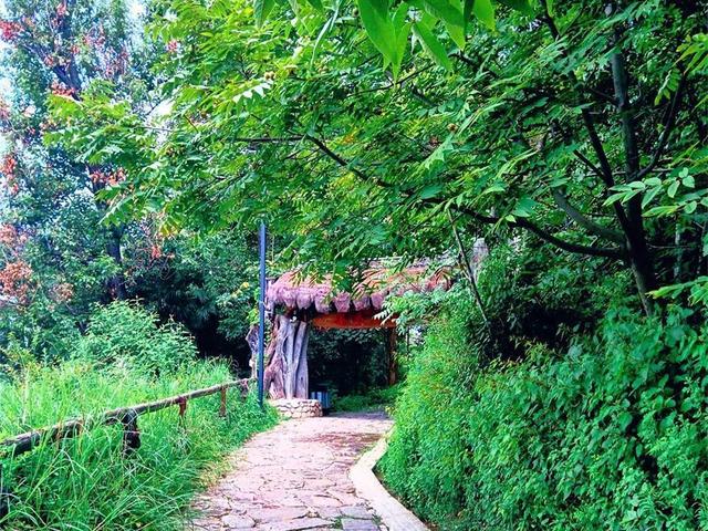 大理鳳陽邑：茶馬古道上的世外桃源