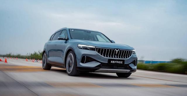 东风岚图的43天和3689位用户